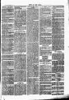 Chelsea News and General Advertiser Saturday 25 March 1871 Page 7