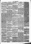 Chelsea News and General Advertiser Saturday 01 April 1871 Page 5