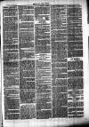 Chelsea News and General Advertiser Saturday 01 April 1871 Page 7