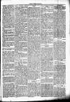 Chelsea News and General Advertiser Saturday 08 April 1871 Page 5