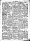 Chelsea News and General Advertiser Saturday 15 April 1871 Page 5