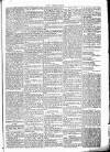 Chelsea News and General Advertiser Saturday 29 April 1871 Page 5