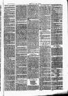 Chelsea News and General Advertiser Saturday 06 May 1871 Page 7