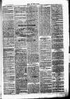 Chelsea News and General Advertiser Saturday 20 May 1871 Page 7