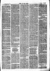 Chelsea News and General Advertiser Saturday 27 May 1871 Page 3