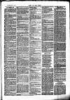 Chelsea News and General Advertiser Saturday 10 June 1871 Page 3