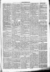 Chelsea News and General Advertiser Saturday 10 June 1871 Page 5
