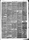 Chelsea News and General Advertiser Saturday 24 June 1871 Page 7