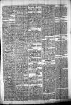 Chelsea News and General Advertiser Saturday 12 August 1871 Page 5