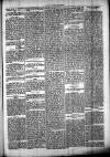 Chelsea News and General Advertiser Saturday 19 August 1871 Page 5