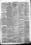 Chelsea News and General Advertiser Saturday 09 September 1871 Page 5