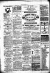 Chelsea News and General Advertiser Saturday 09 September 1871 Page 8