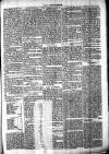 Chelsea News and General Advertiser Saturday 16 September 1871 Page 5