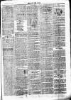 Chelsea News and General Advertiser Saturday 16 September 1871 Page 7