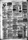 Chelsea News and General Advertiser Saturday 16 September 1871 Page 8