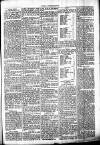 Chelsea News and General Advertiser Saturday 23 September 1871 Page 5