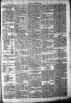 Chelsea News and General Advertiser Saturday 30 September 1871 Page 5