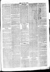 Chelsea News and General Advertiser Saturday 07 October 1871 Page 3