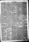 Chelsea News and General Advertiser Saturday 07 October 1871 Page 5