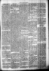 Chelsea News and General Advertiser Saturday 21 October 1871 Page 5