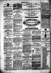 Chelsea News and General Advertiser Saturday 04 November 1871 Page 7