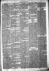 Chelsea News and General Advertiser Saturday 11 November 1871 Page 5