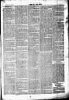 Chelsea News and General Advertiser Saturday 25 November 1871 Page 3