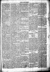 Chelsea News and General Advertiser Saturday 25 November 1871 Page 5