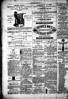 Chelsea News and General Advertiser Saturday 25 November 1871 Page 8