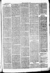 Chelsea News and General Advertiser Saturday 30 December 1871 Page 3