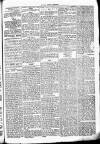 Chelsea News and General Advertiser Saturday 30 December 1871 Page 5