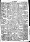 Chelsea News and General Advertiser Saturday 20 January 1872 Page 5