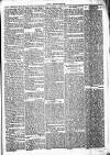 Chelsea News and General Advertiser Saturday 27 January 1872 Page 5