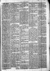 Chelsea News and General Advertiser Saturday 03 February 1872 Page 5