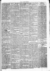 Chelsea News and General Advertiser Saturday 10 February 1872 Page 5