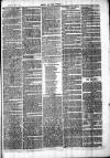 Chelsea News and General Advertiser Saturday 17 February 1872 Page 7