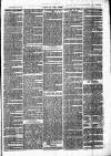 Chelsea News and General Advertiser Saturday 24 February 1872 Page 3
