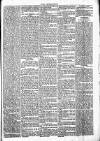Chelsea News and General Advertiser Saturday 24 February 1872 Page 5