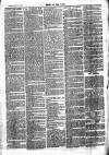 Chelsea News and General Advertiser Saturday 02 March 1872 Page 3