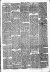 Chelsea News and General Advertiser Saturday 02 March 1872 Page 7