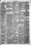 Chelsea News and General Advertiser Saturday 09 March 1872 Page 5