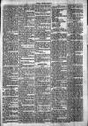 Chelsea News and General Advertiser Saturday 16 March 1872 Page 5