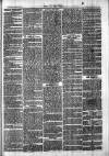 Chelsea News and General Advertiser Saturday 16 March 1872 Page 7