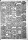 Chelsea News and General Advertiser Saturday 23 March 1872 Page 5