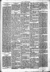 Chelsea News and General Advertiser Saturday 30 March 1872 Page 5