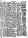 Chelsea News and General Advertiser Saturday 13 April 1872 Page 3