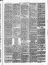 Chelsea News and General Advertiser Saturday 13 April 1872 Page 7