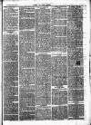 Chelsea News and General Advertiser Saturday 20 April 1872 Page 3
