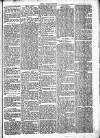 Chelsea News and General Advertiser Saturday 20 April 1872 Page 5