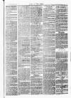 Chelsea News and General Advertiser Saturday 20 April 1872 Page 7